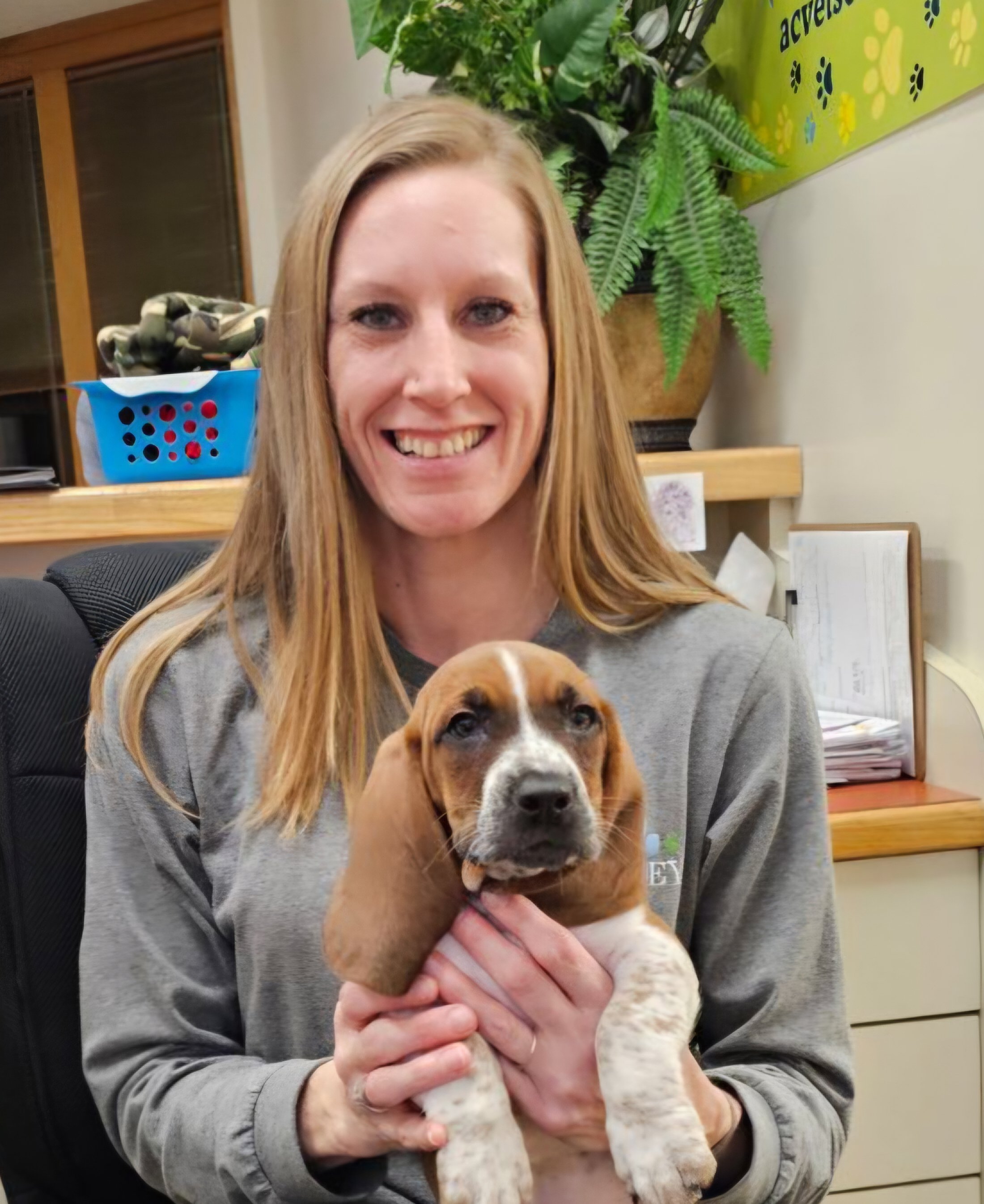 A smiling woman holds a small brown and white basset hound puppy in her arms.