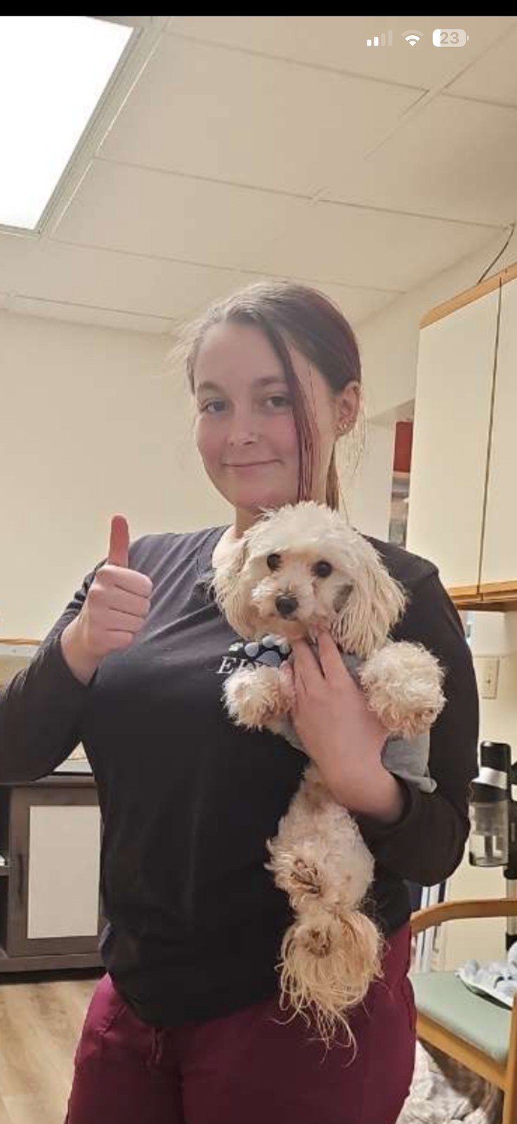 A woman in a black shirt and red pants holds a white poodle in a room with a ceiling light and cabinets.