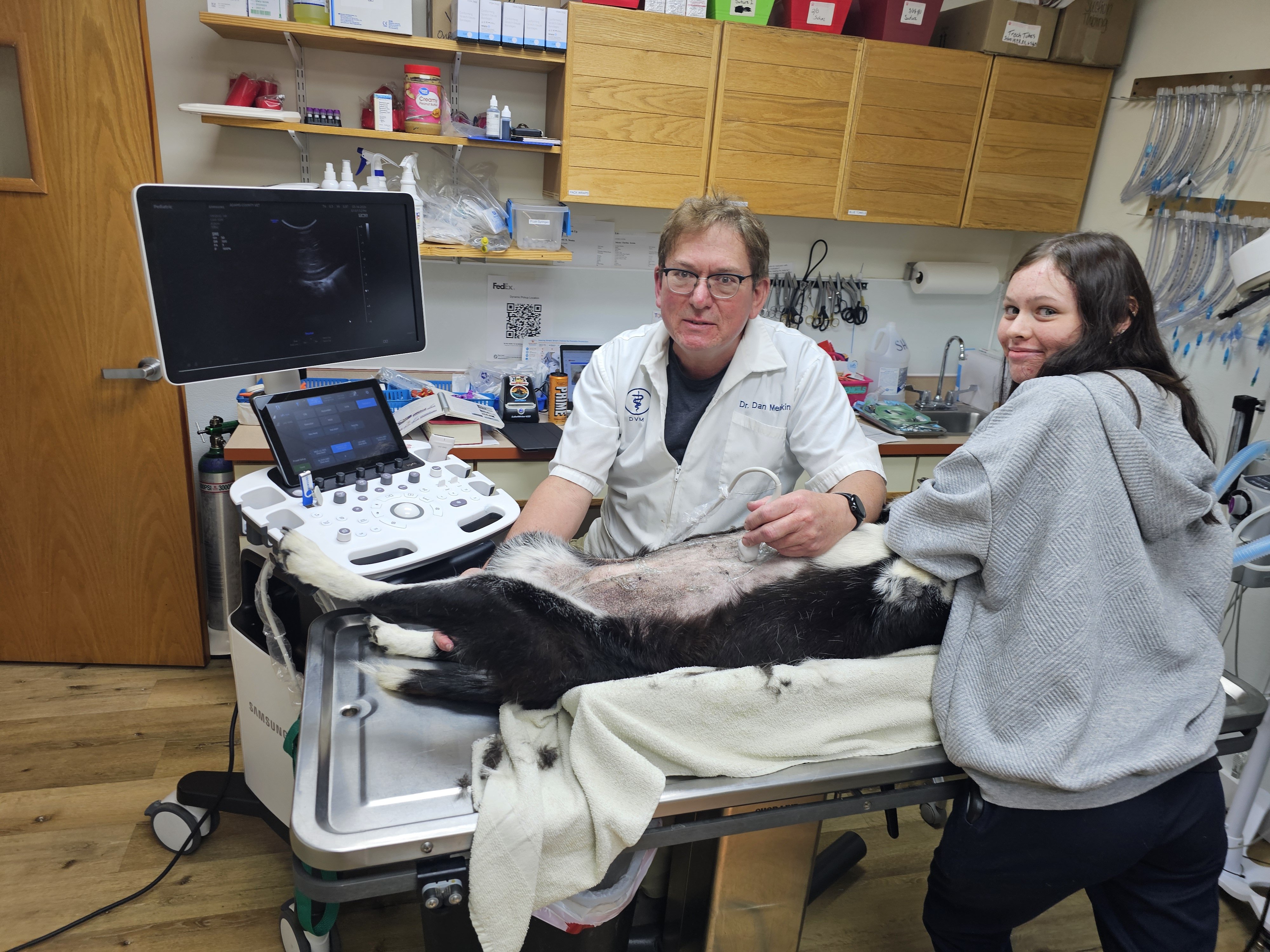 Dr. Daniel Meakin and a female assistant performing an ultrasound on a cat
