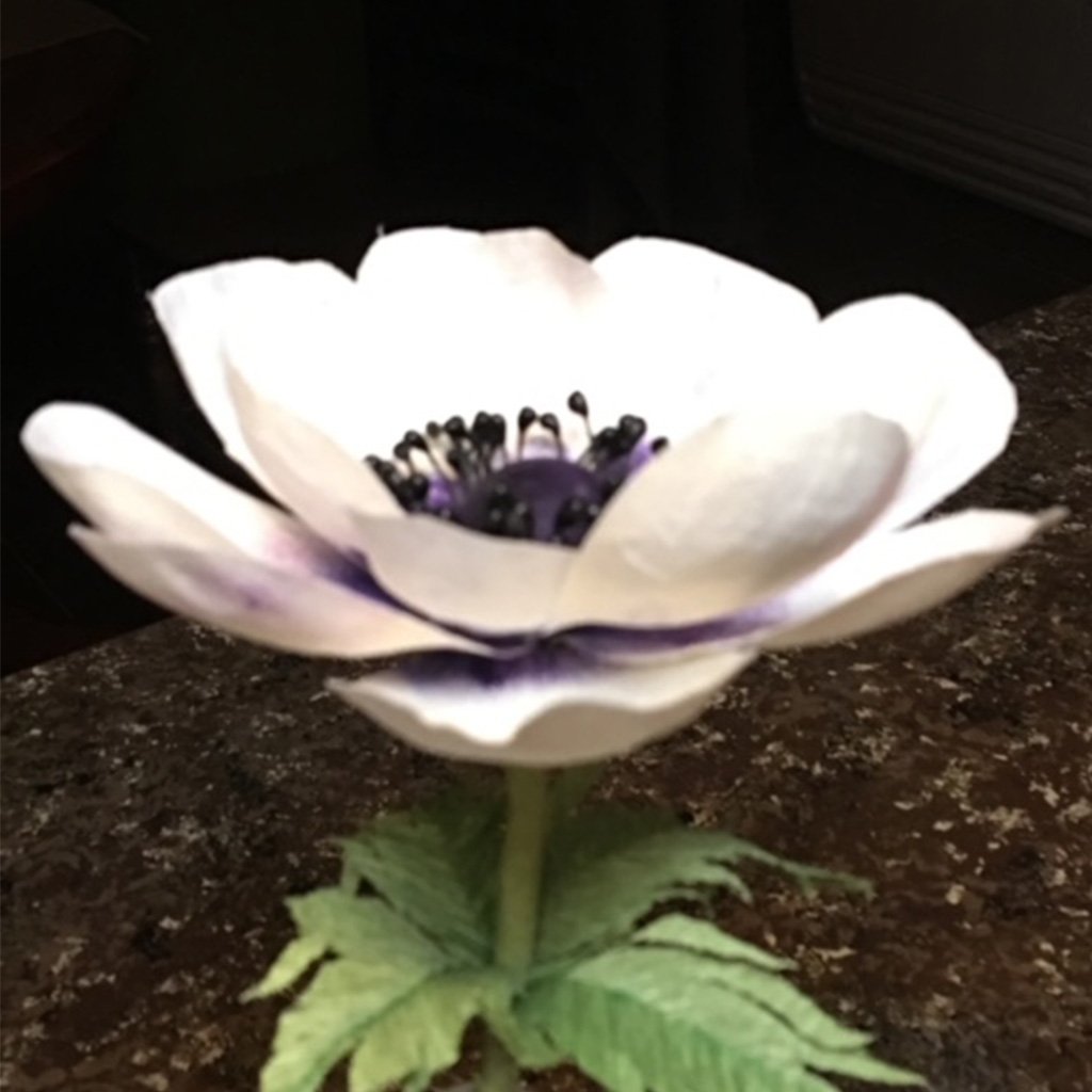 A white paper anemone flower with purple center and green leaves on a marble surface