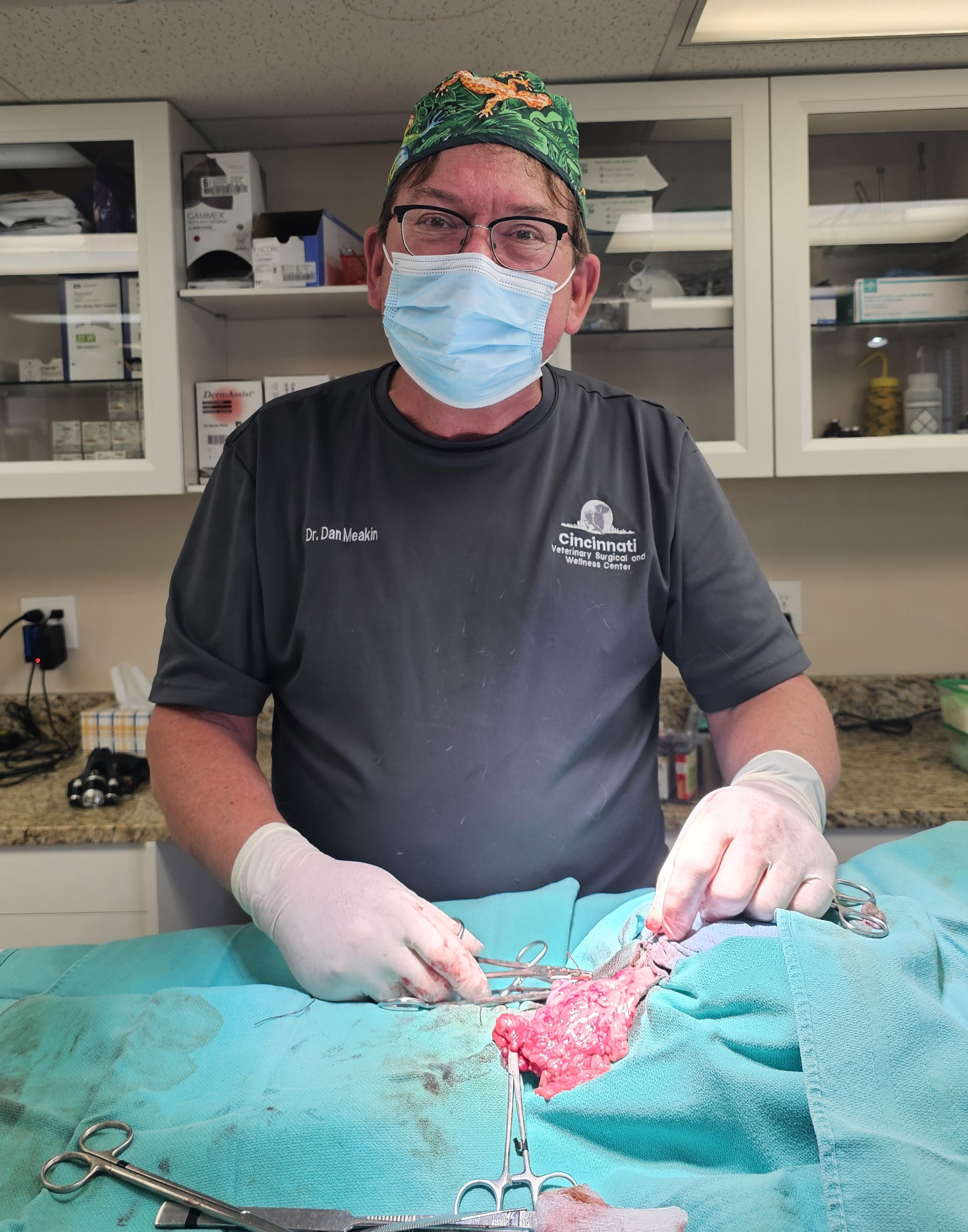Veterinarian caring for a pet