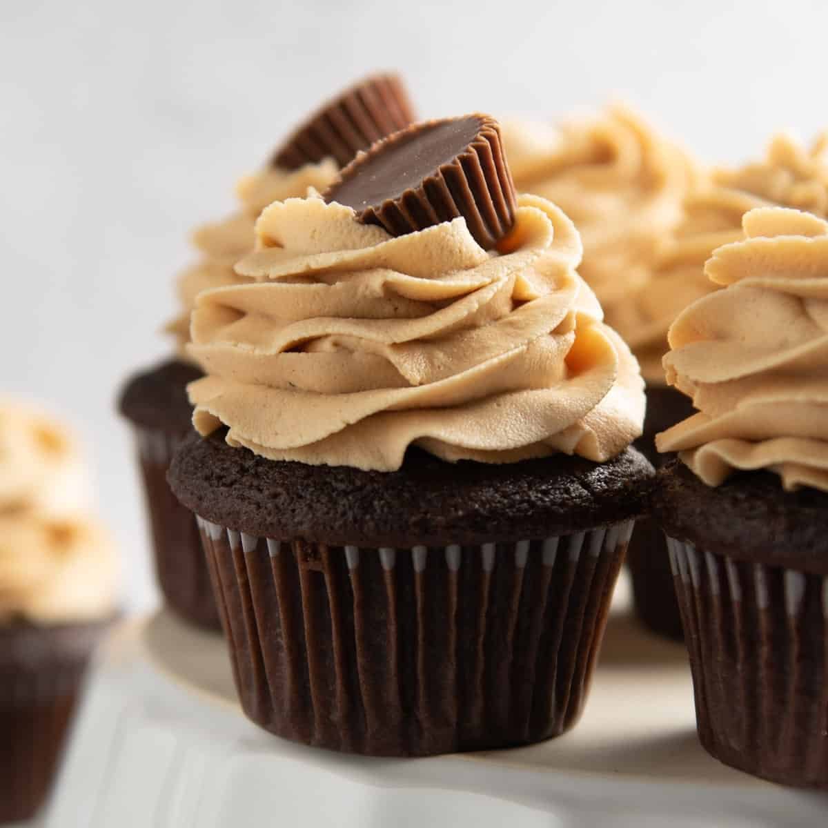 Chocolate cupcakes topped with peanut butter frosting and a Reese's candy bar.