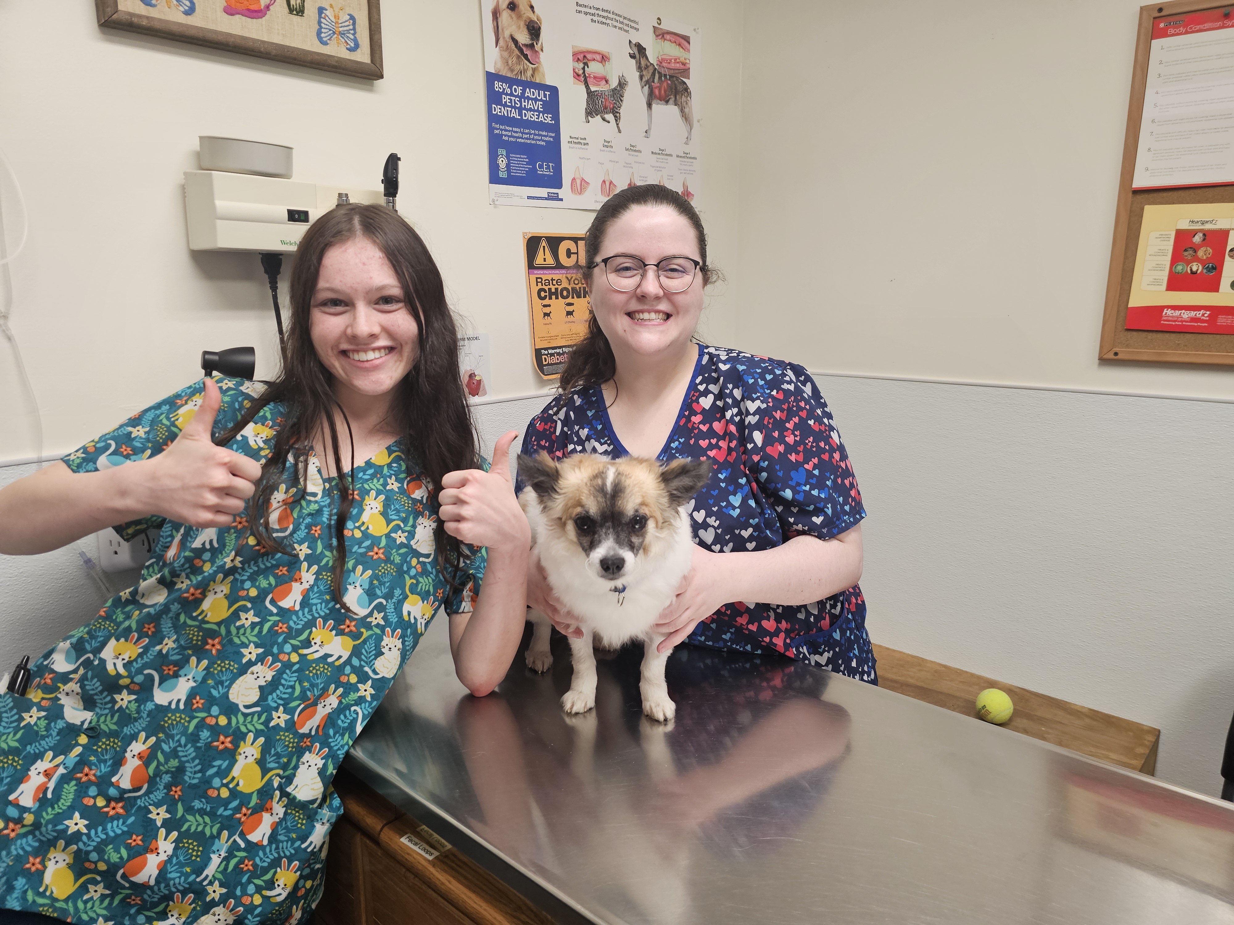 Two women in scrubs with a small dog on a table in a veterinary clinic