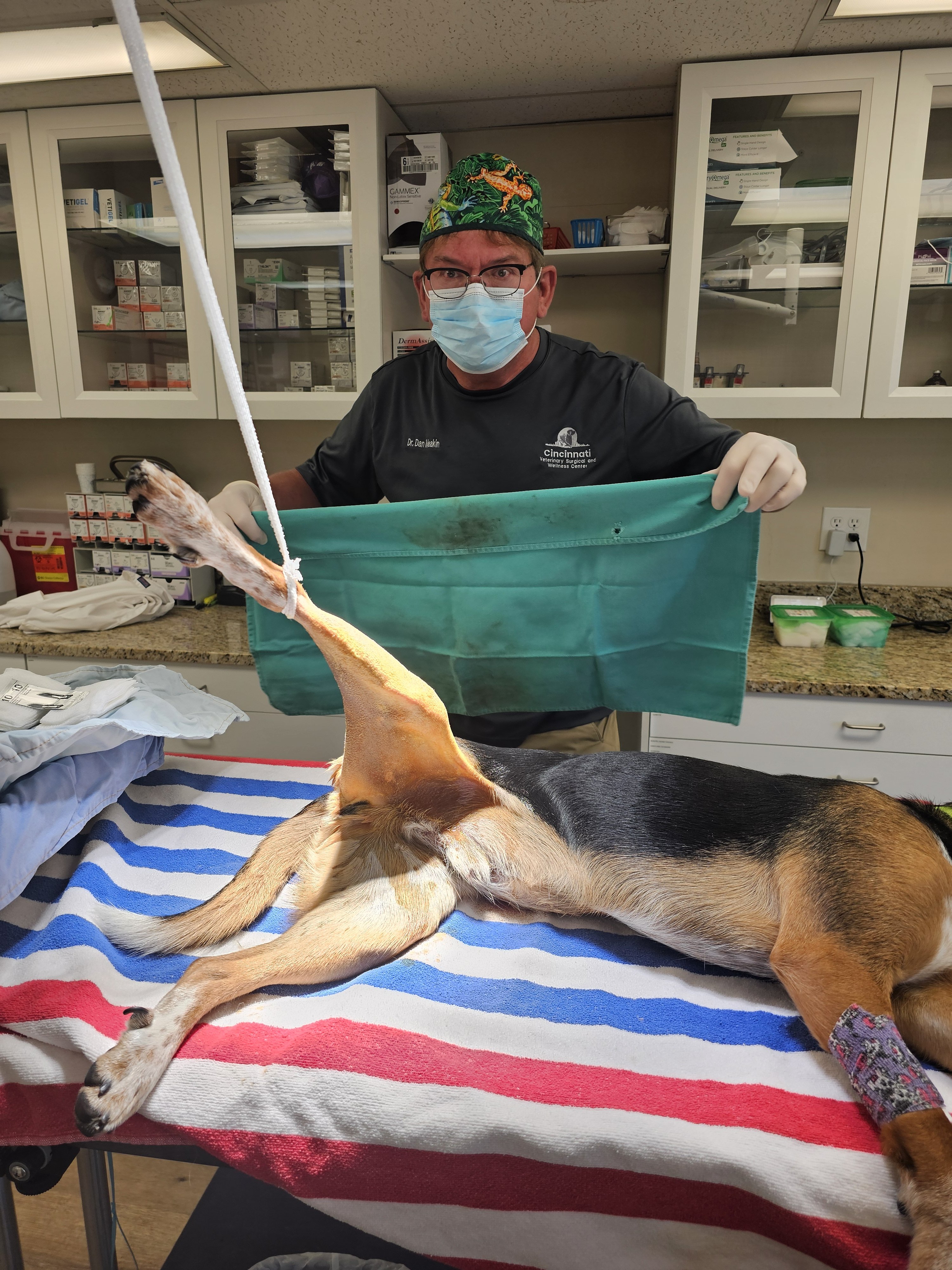 Dr. Dan performing surgery on a dog's leg in a veterinary clinic.