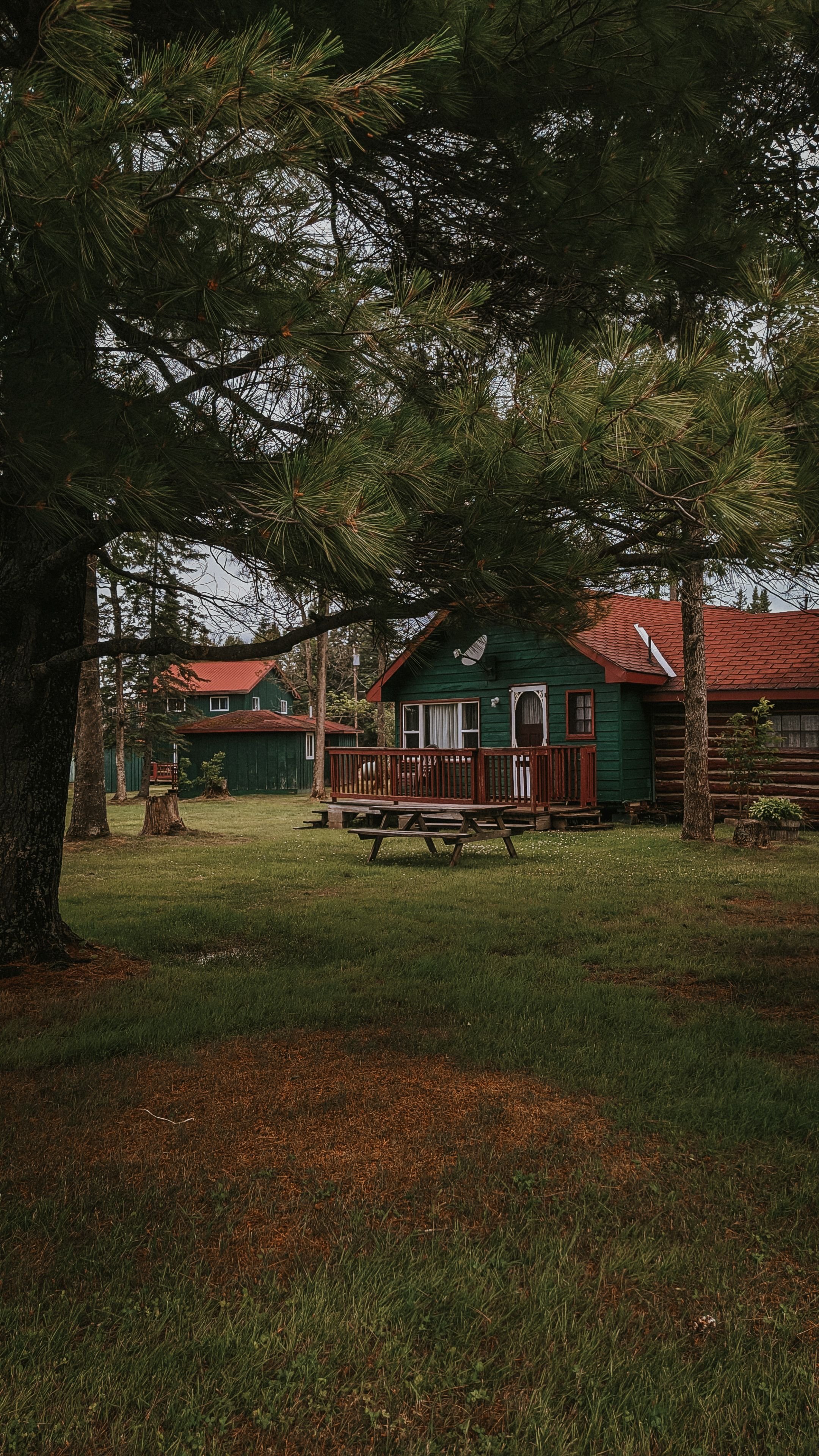 A serene green cabin with a red roof and a wooden deck surrounded by lush greenery and trees
