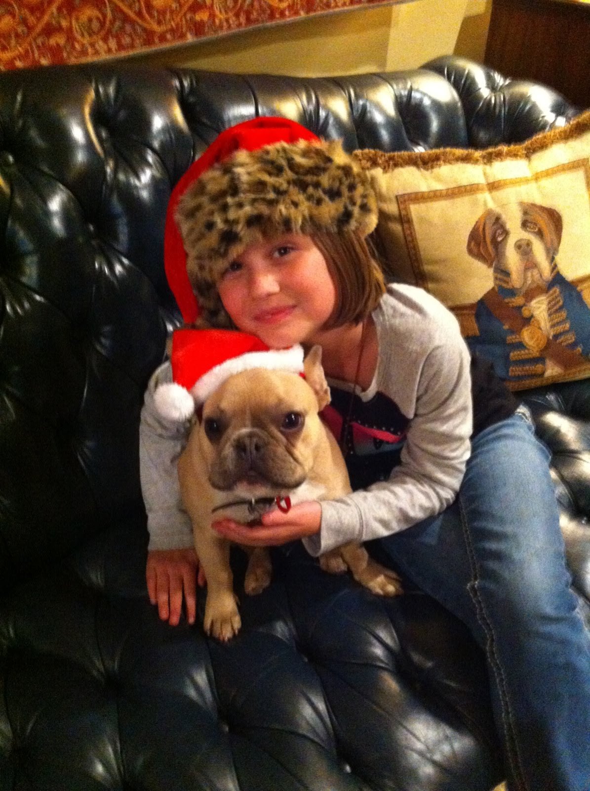 French Bulldog with Family