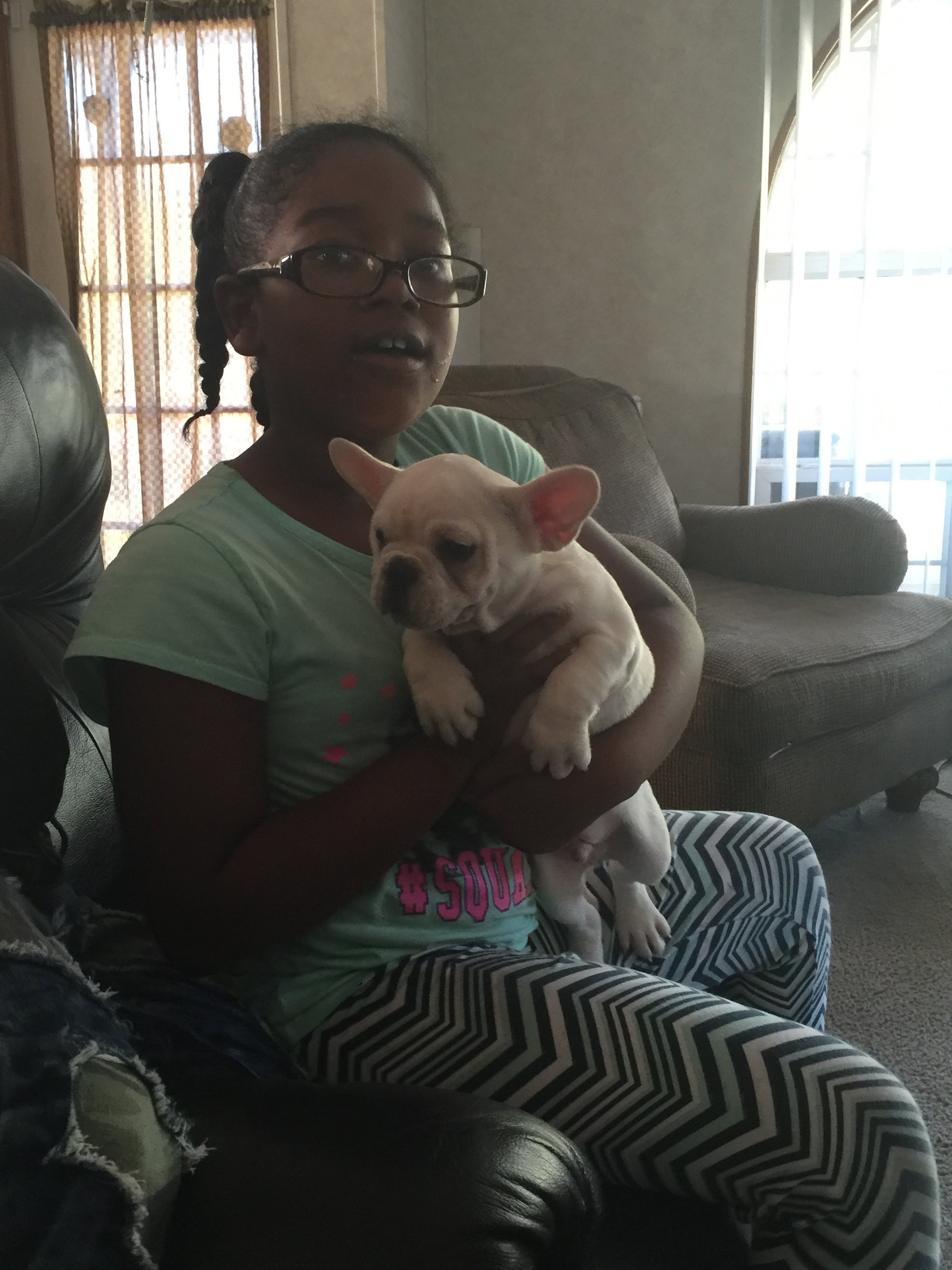 French Bulldog with Family