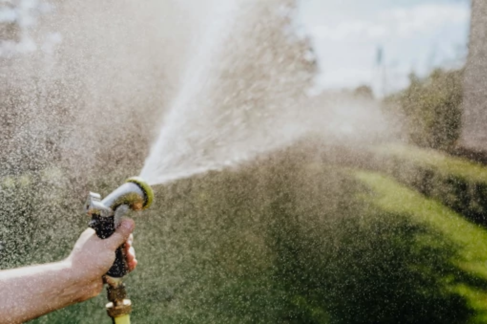 A person watering plants with a hose in a garden