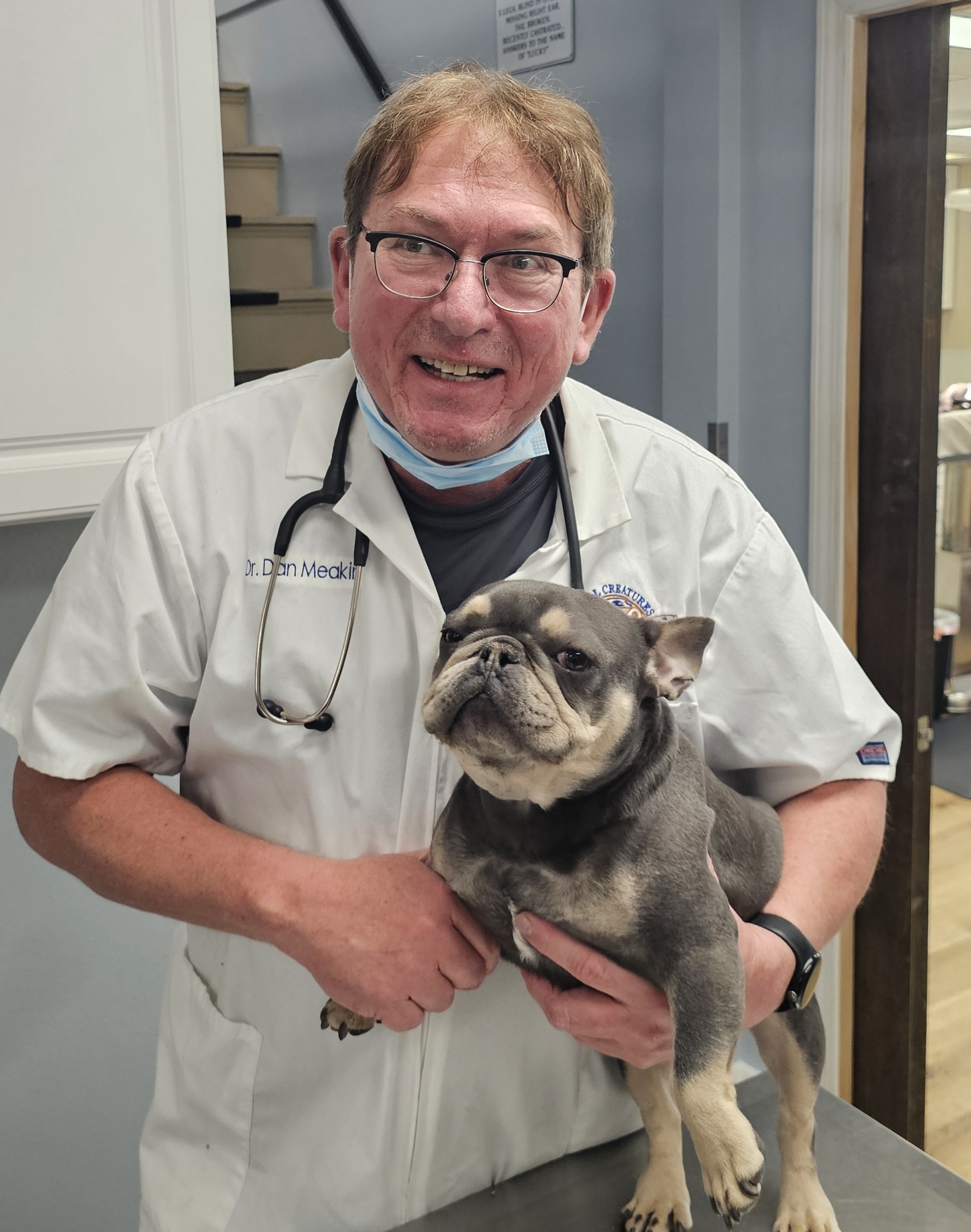 Dr. Daniel Meakin, a veterinarian, holds a French bulldog in a clinic setting.