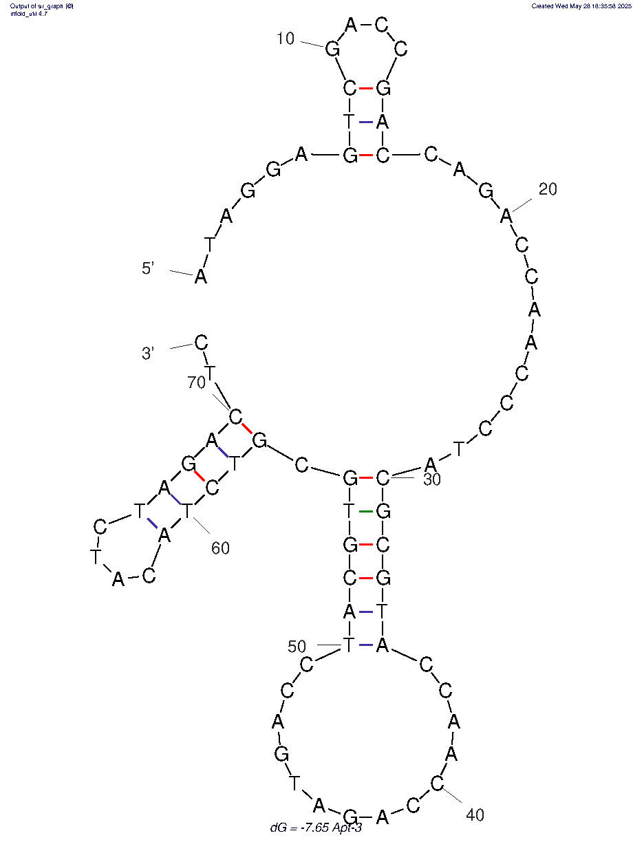 Apt-3 aptamer against C promoter binding factor 1 (CBF1) structure