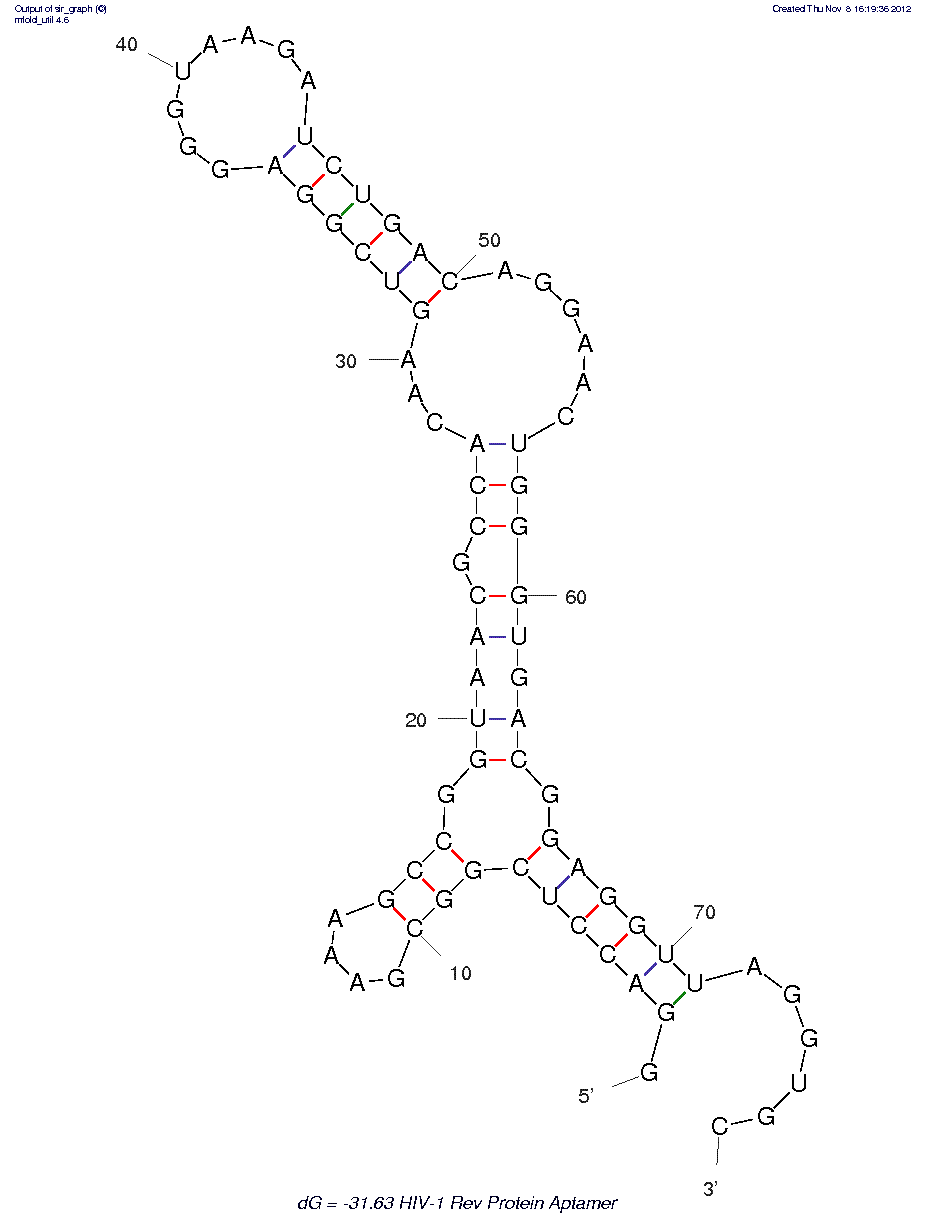 HIV-1 Rev Peptide (L1-Rev) structure