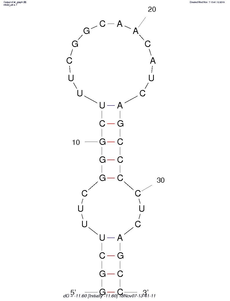 DL650-E3 structure