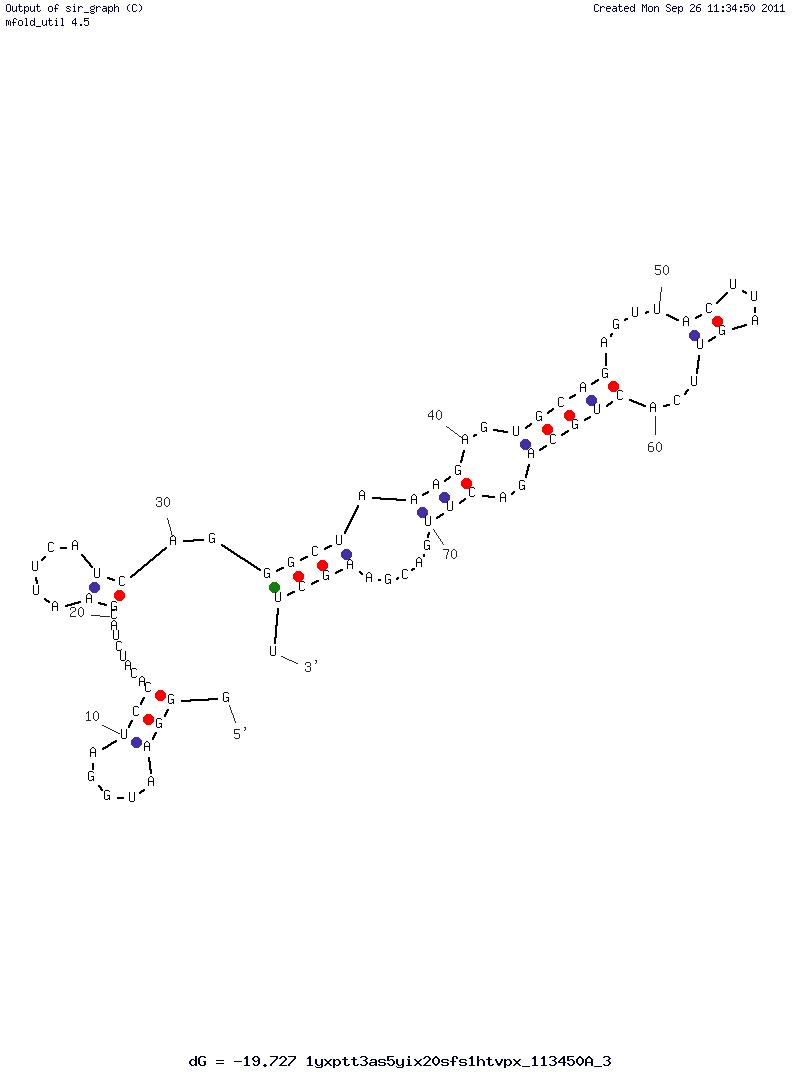 Lysozyme structure