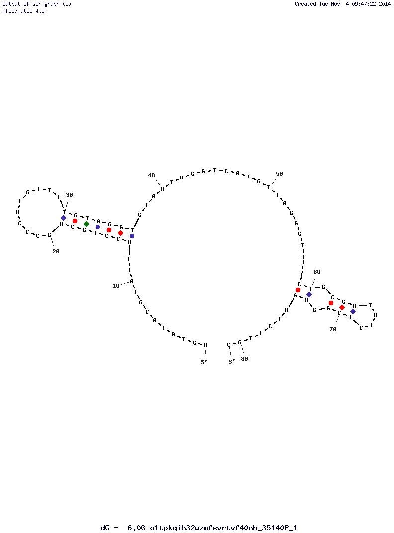 Human Norovirus SMV-21 structure
