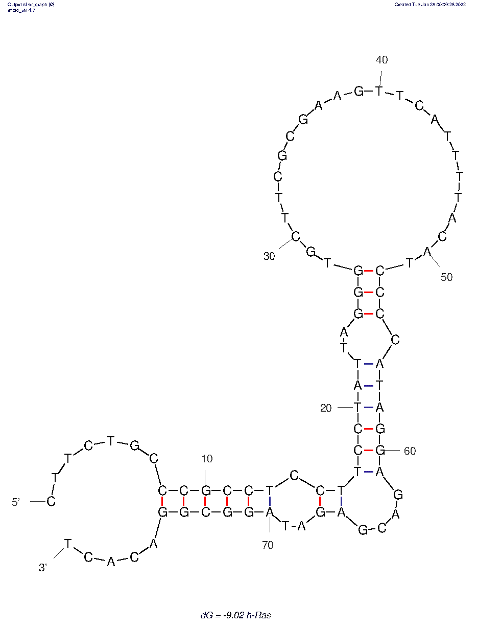 h-Ras structure