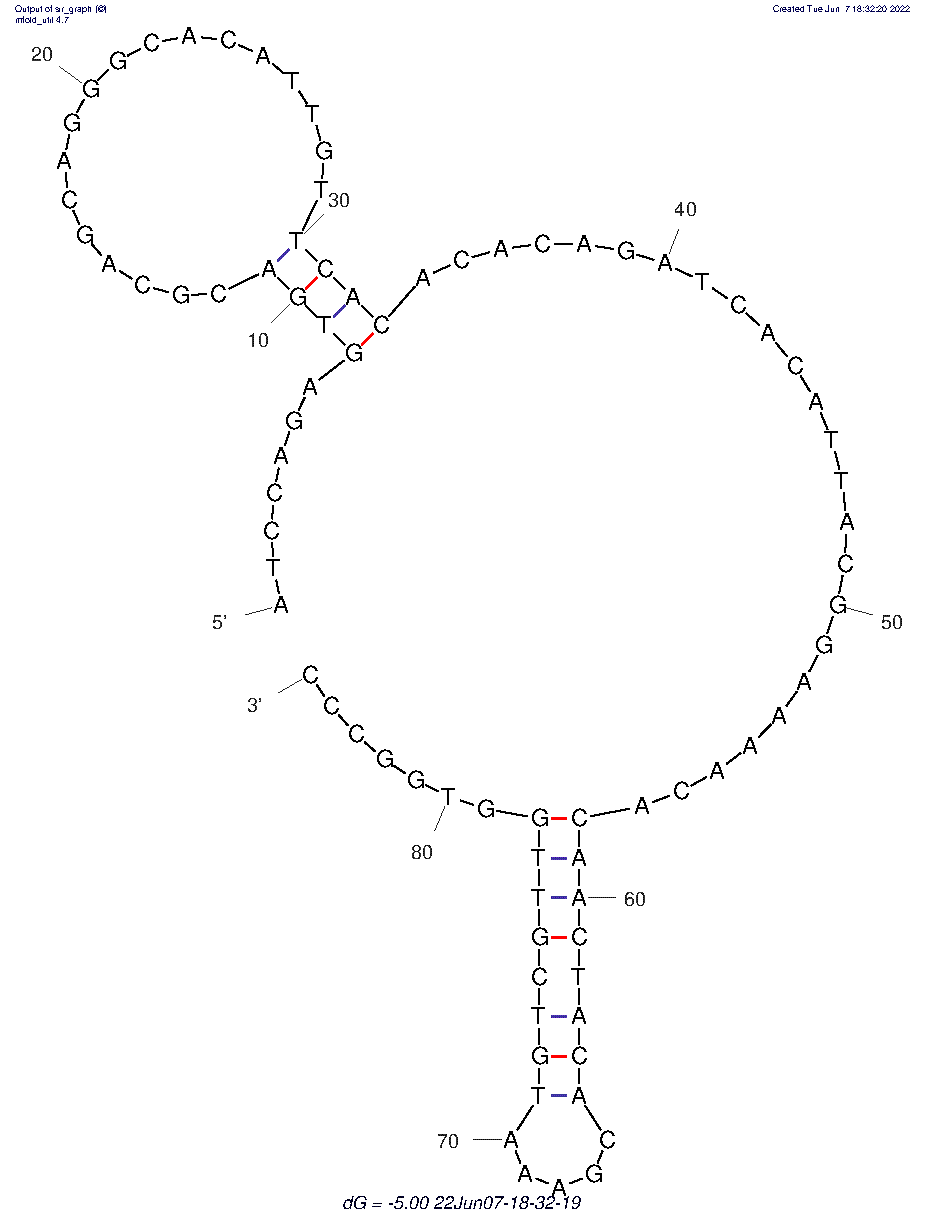 OS-7.9 Aptamer structure