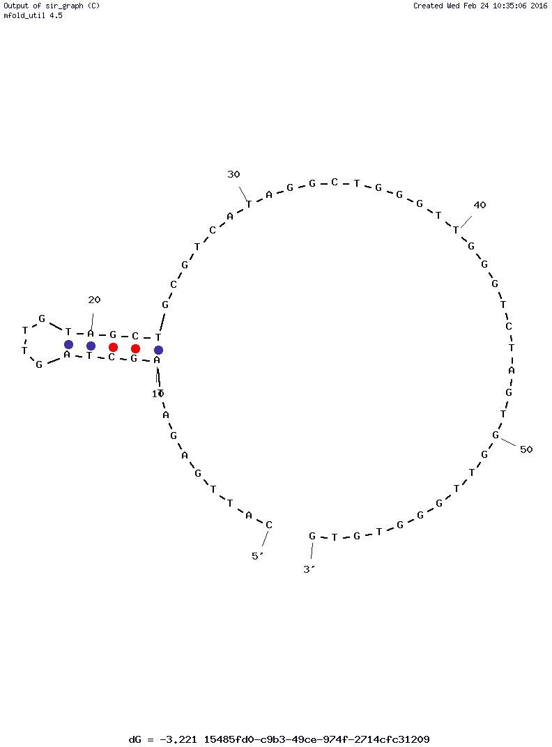 PAI-1 01 structure