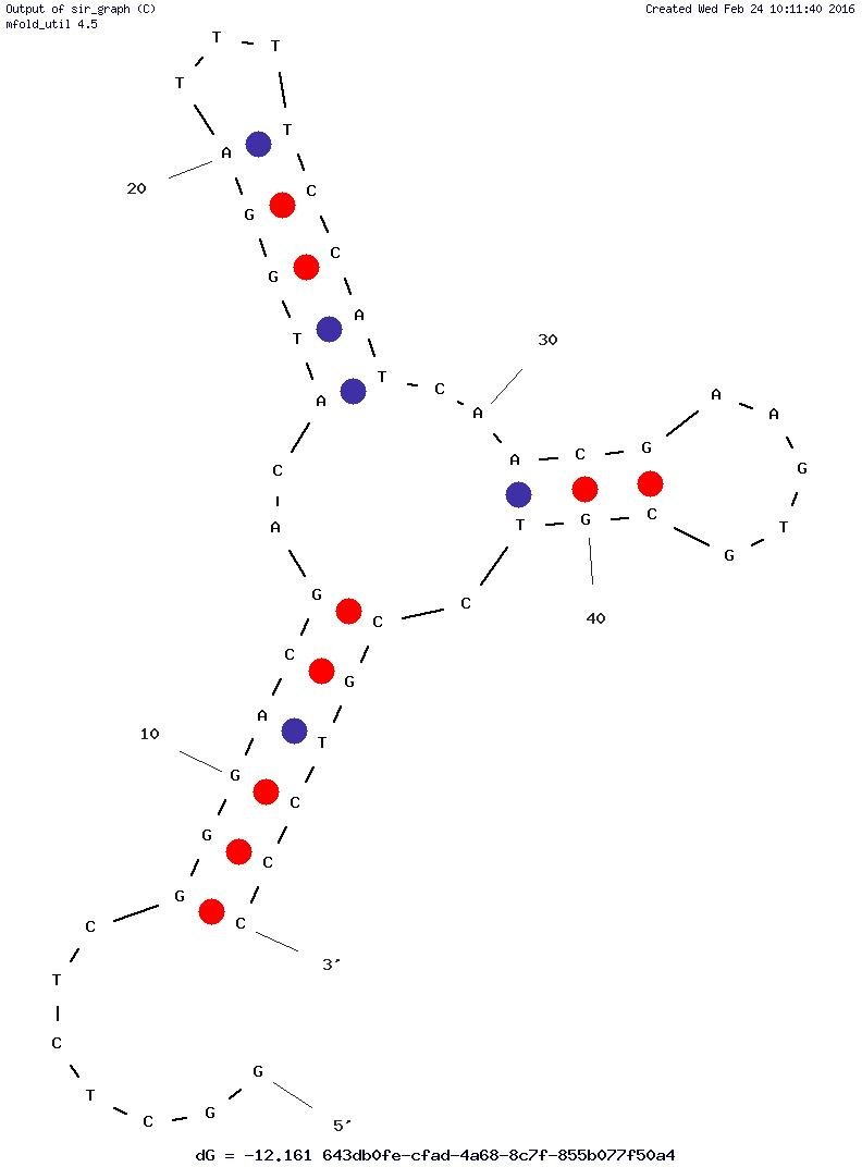 Beta-Estradiol Aptamer (BES.1) structure