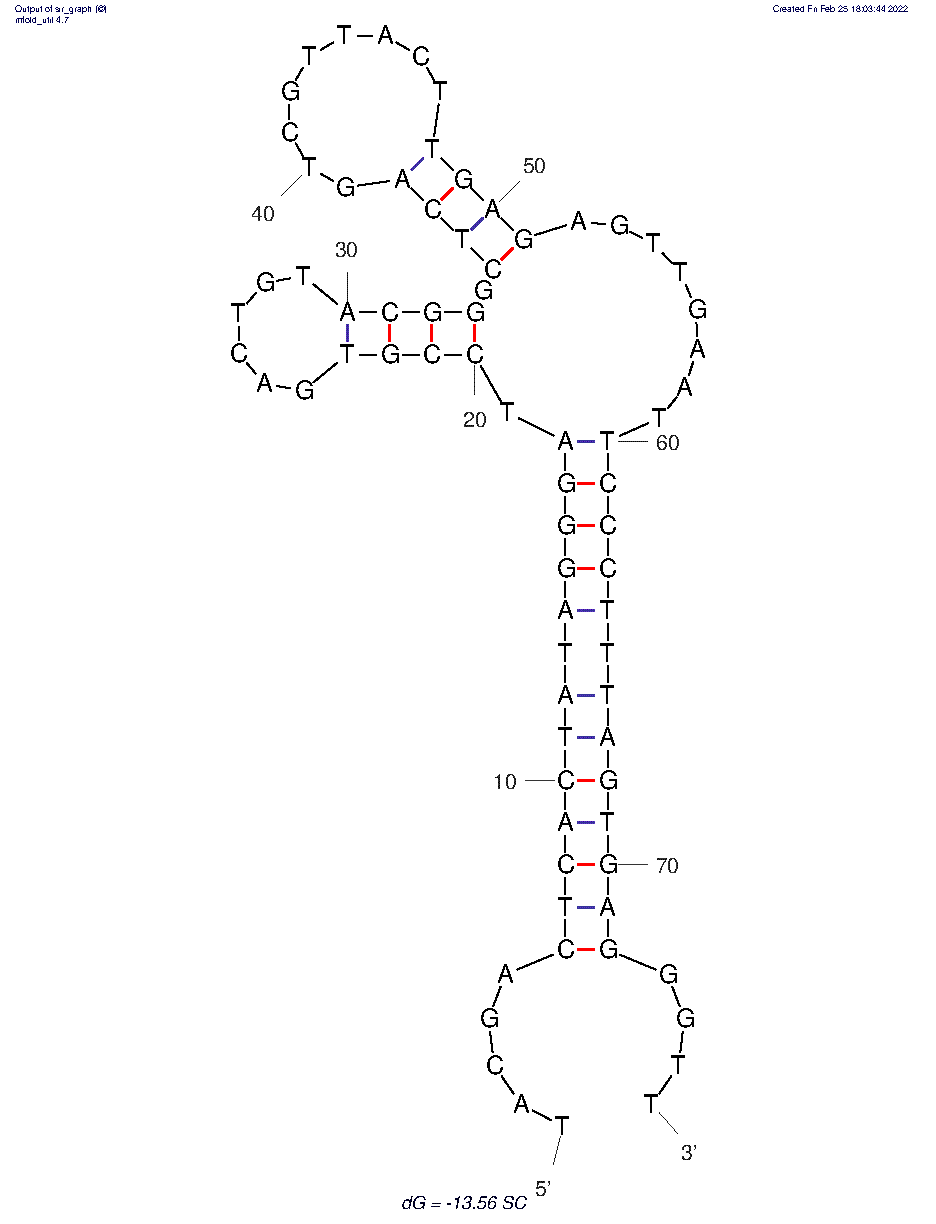 SE43 structure