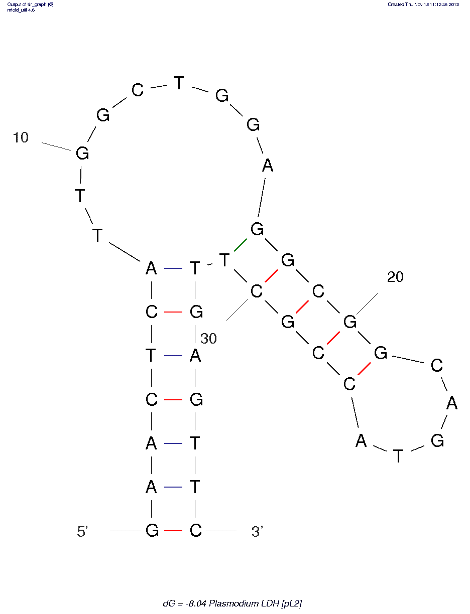 Plasmodium falciparum lactate dehydrogenase  (pL2) structure