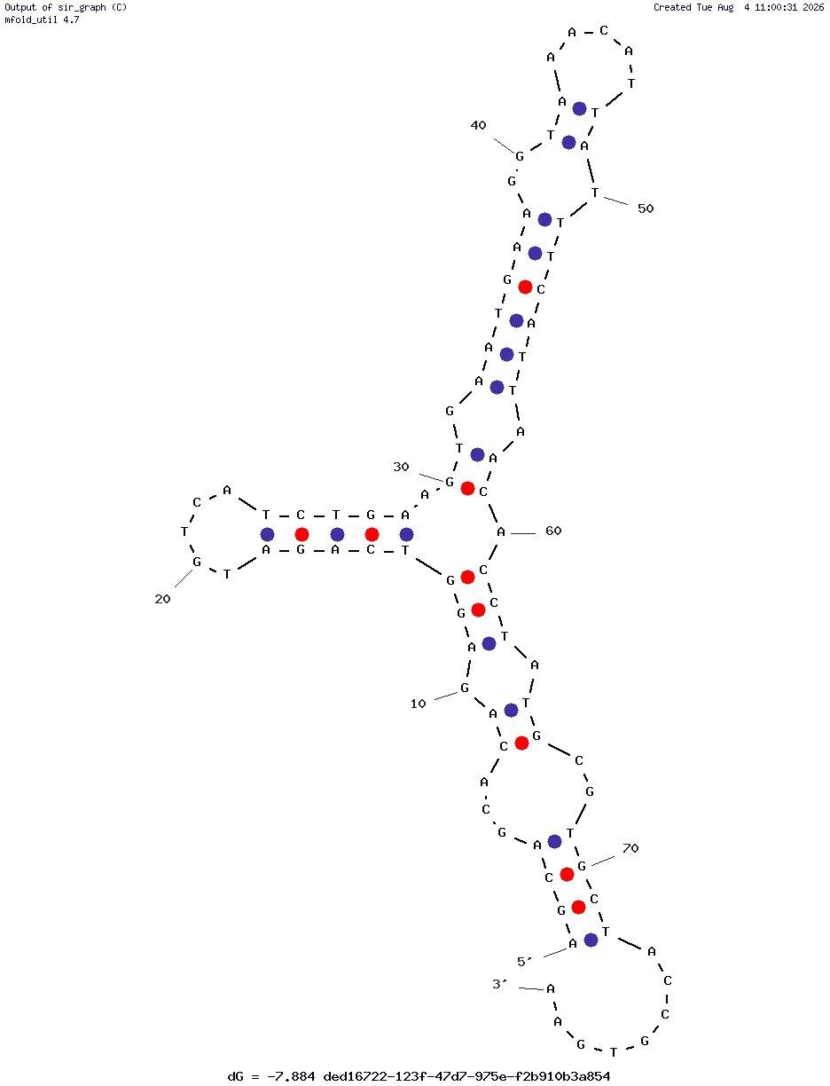 Clenbuterol Hydrochloride Aptamer (CLB-2) structure