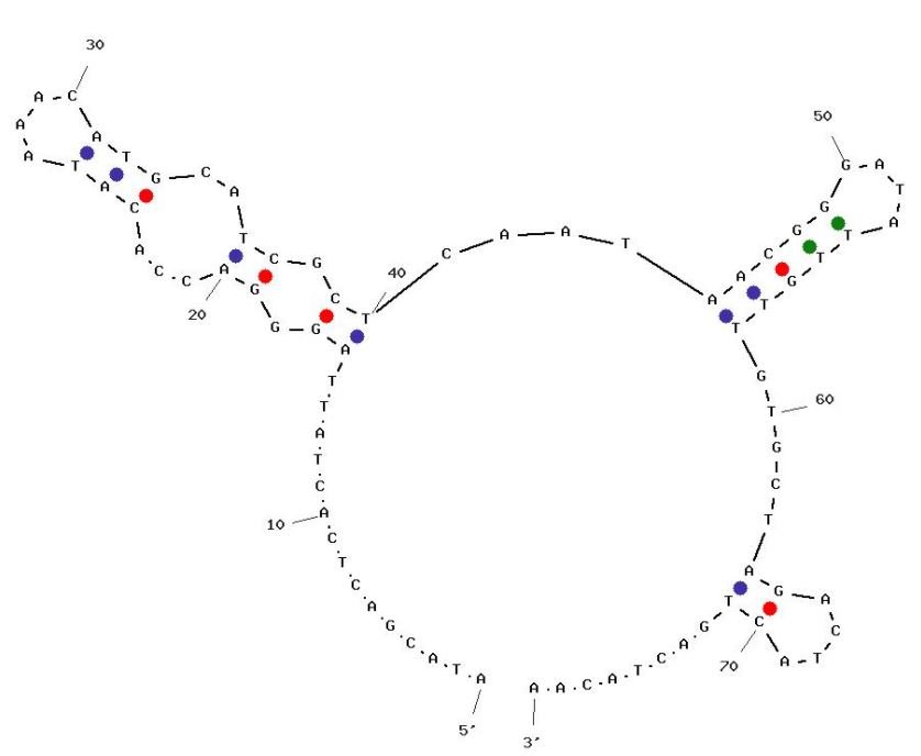 M1 structure