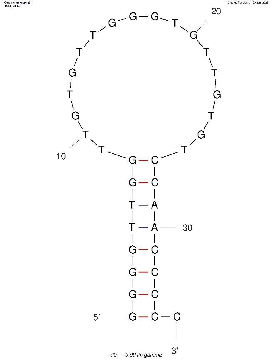 IFN-γ-binding aptamer structure