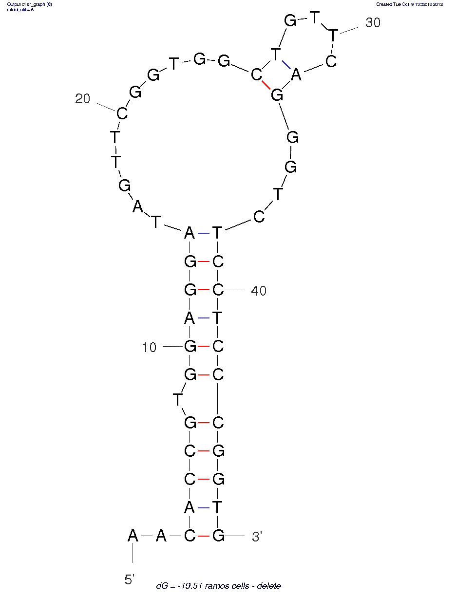 Ramos Cells (TD05) structure