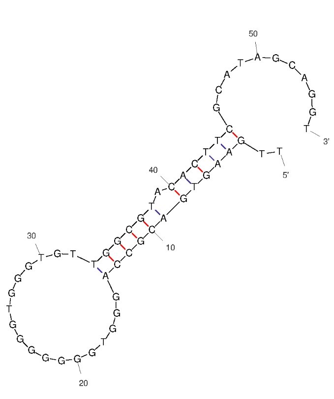 A24-3 structure