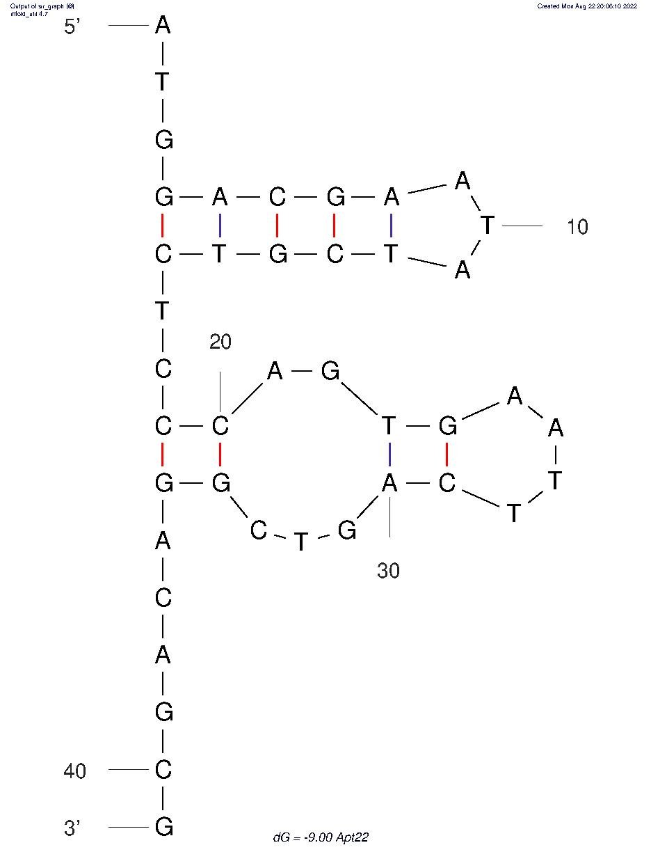 Apt22 structure