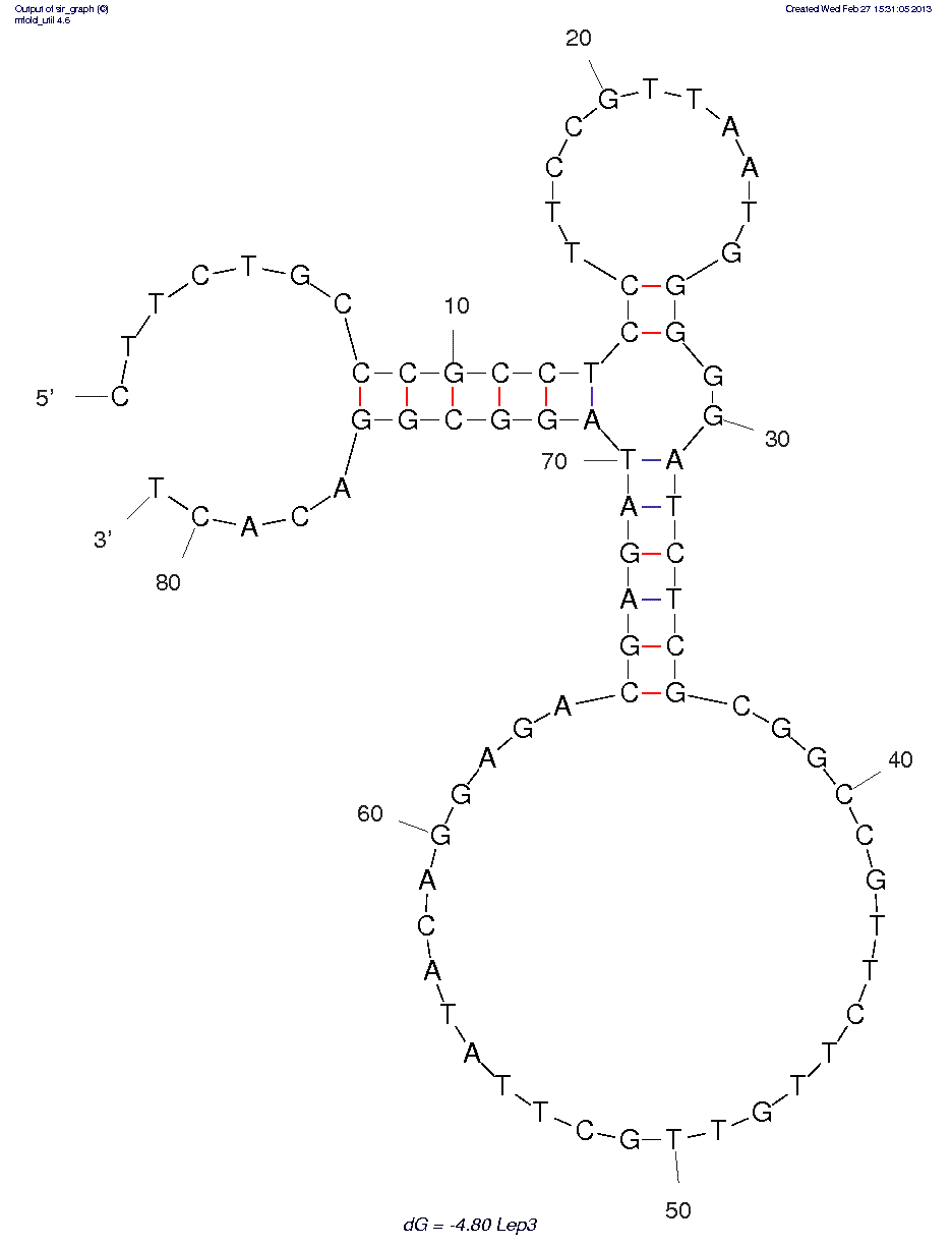 Leptin (Lep3) structure