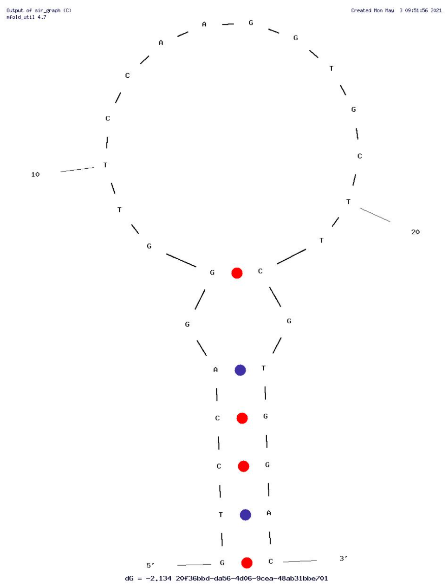 CH1S-3 structure