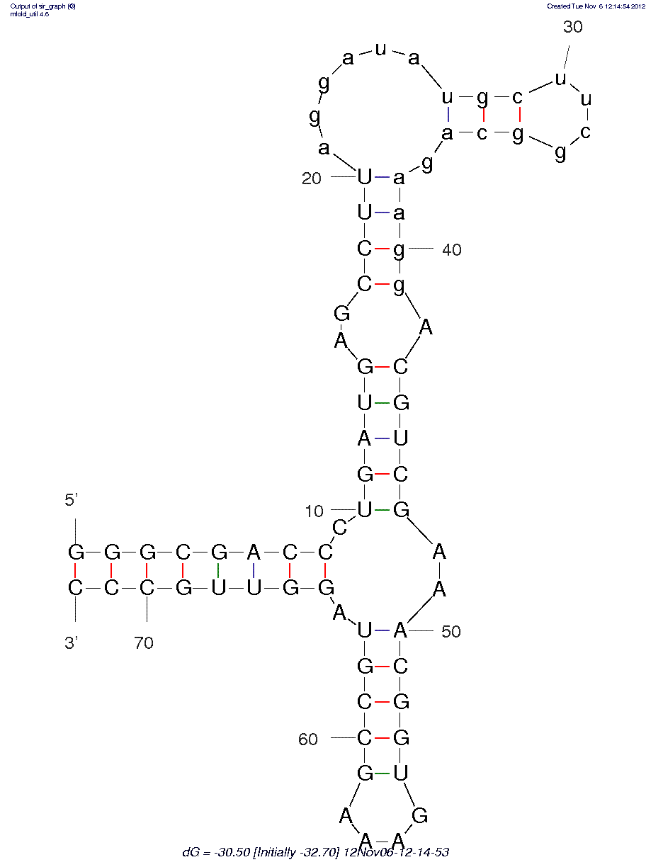 FMN-induced molecular switch structure