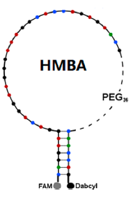 HMBA (aptabeacon) structure