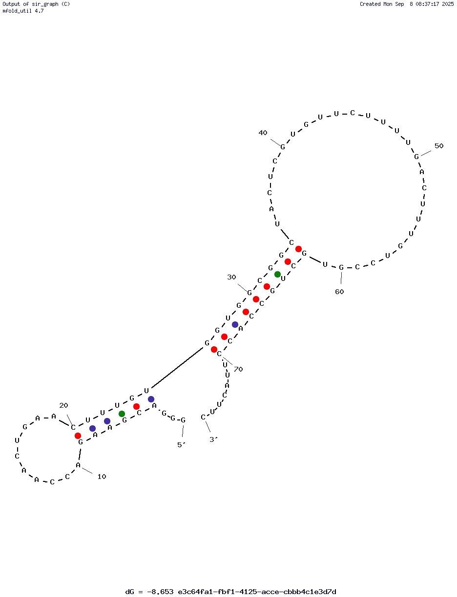 E22P-AbD43 structure