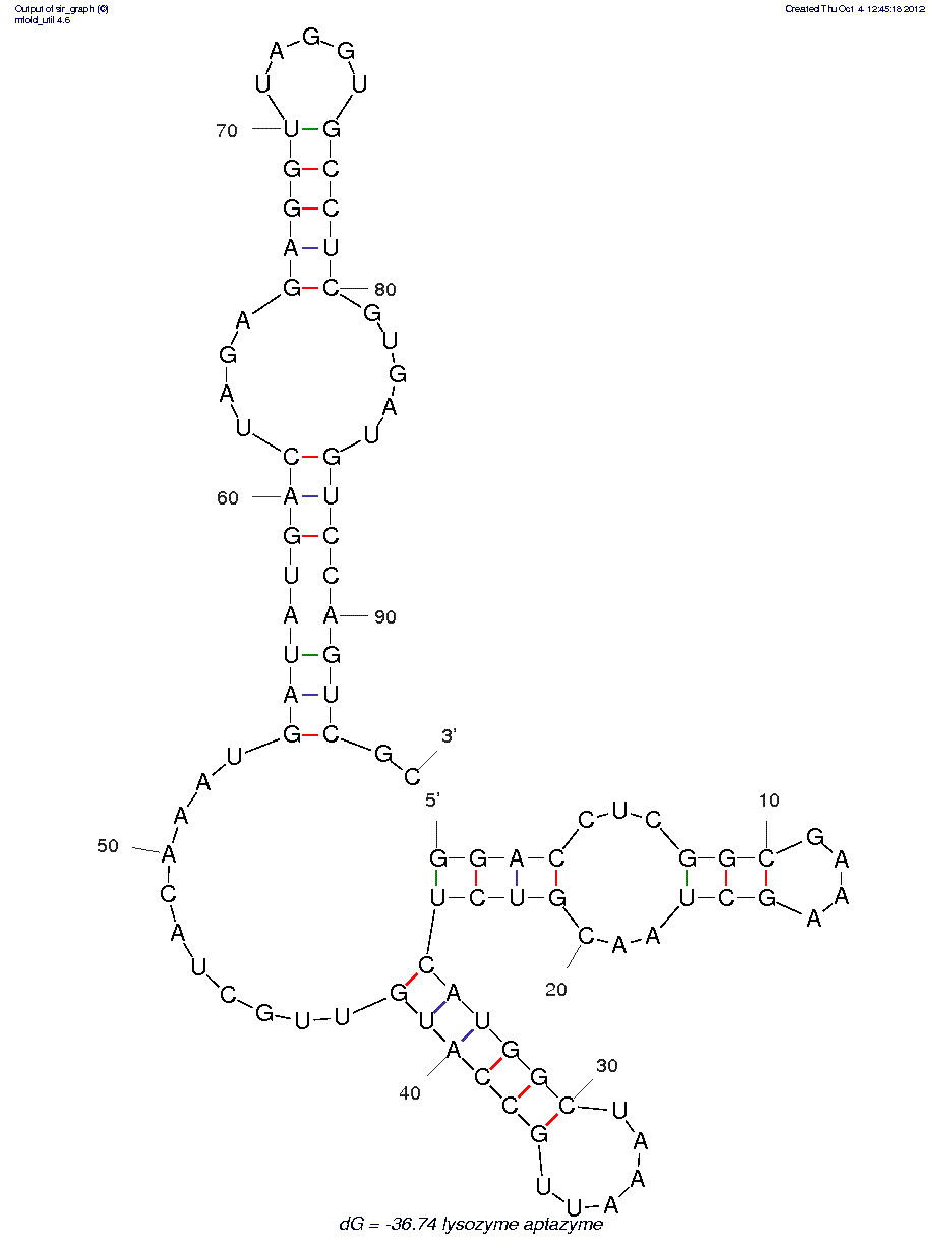 Hen Egg White Lysozyme (cyt7-2) structure