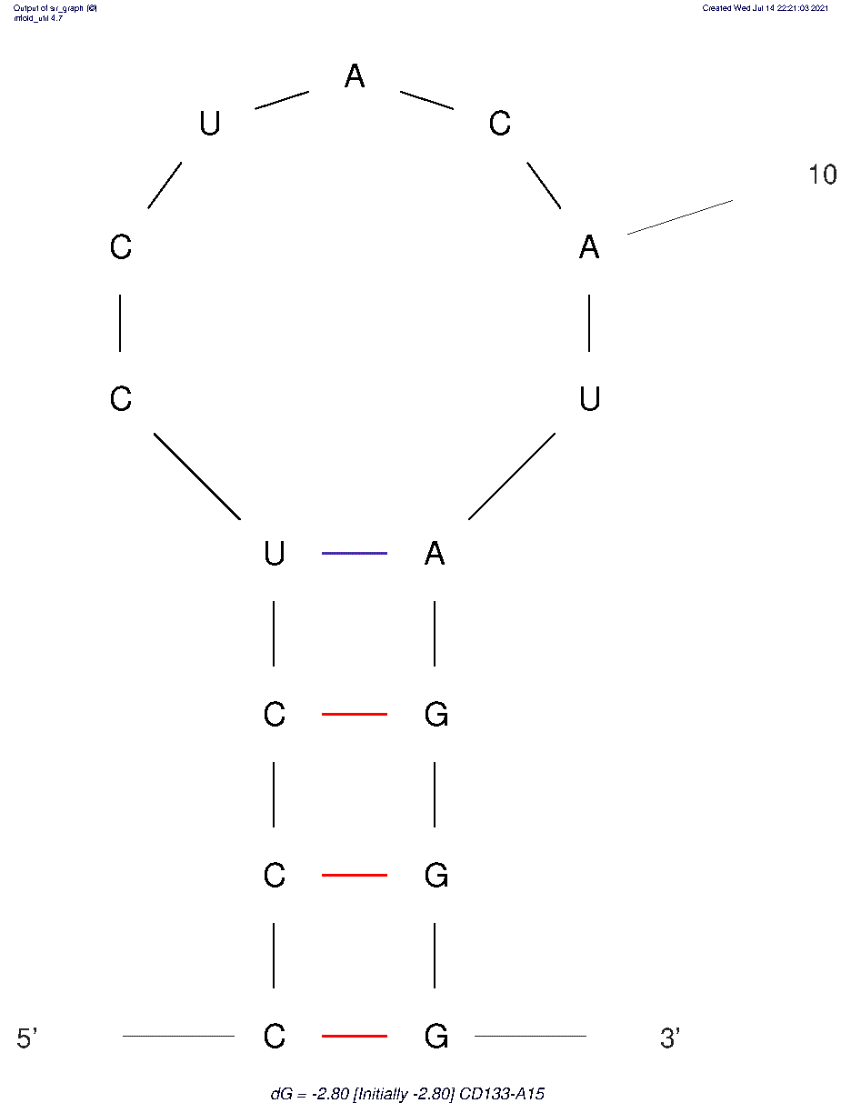 CD133-A15 structure