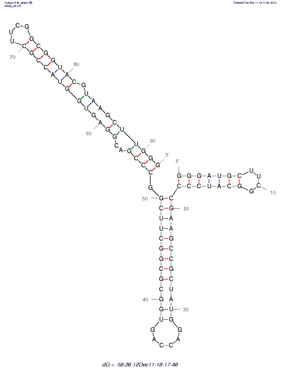 Hepatitis C Virus Dependent RNA Polymerase (B.2) structure