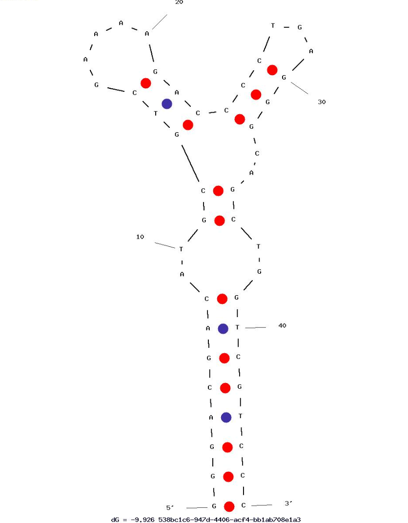 HM20 against Morphine-Like Opioids structure
