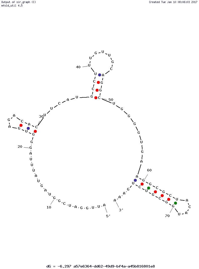Phenylalanine structure