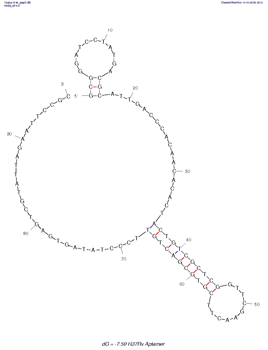 Mycobacterium tuberculosis (strain H37Rv) (aptamer NK2) structure