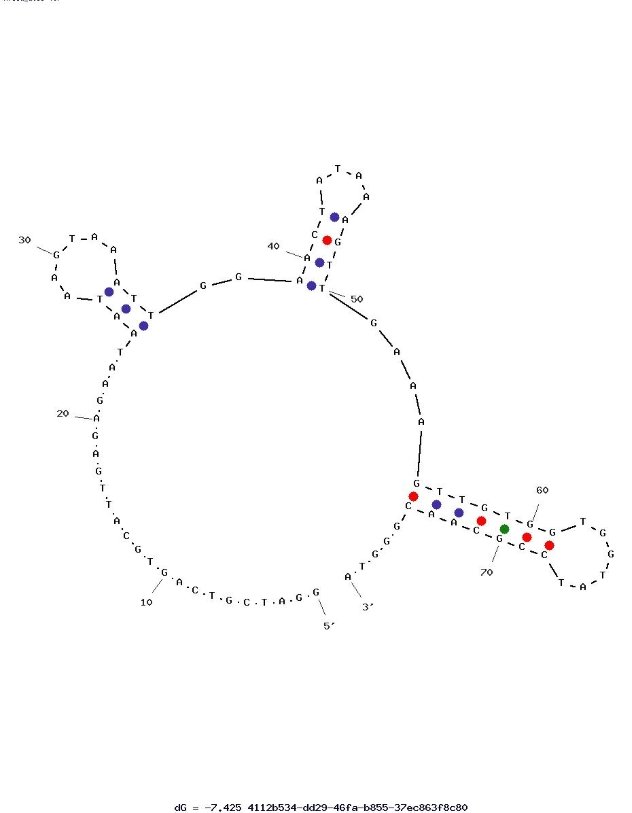 C3 hybrid aptamer with PSMA-617 pharmacophore (from Pluvicto drug) targeting for PSMA structure