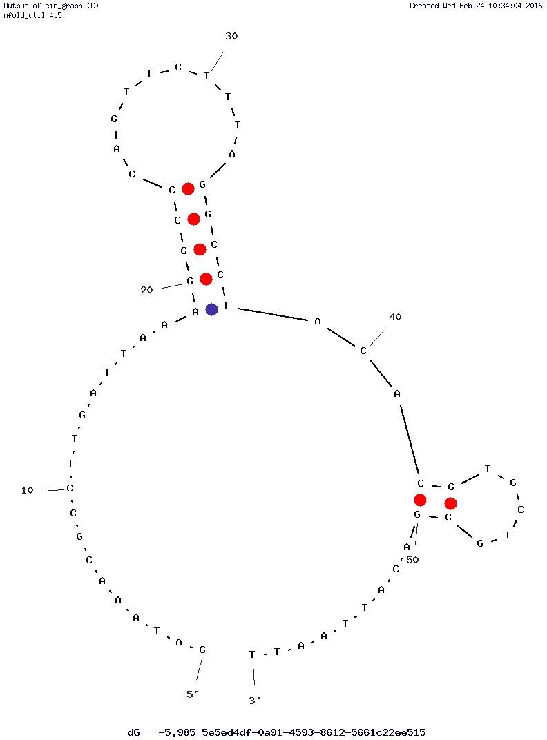 ApoE 06 structure