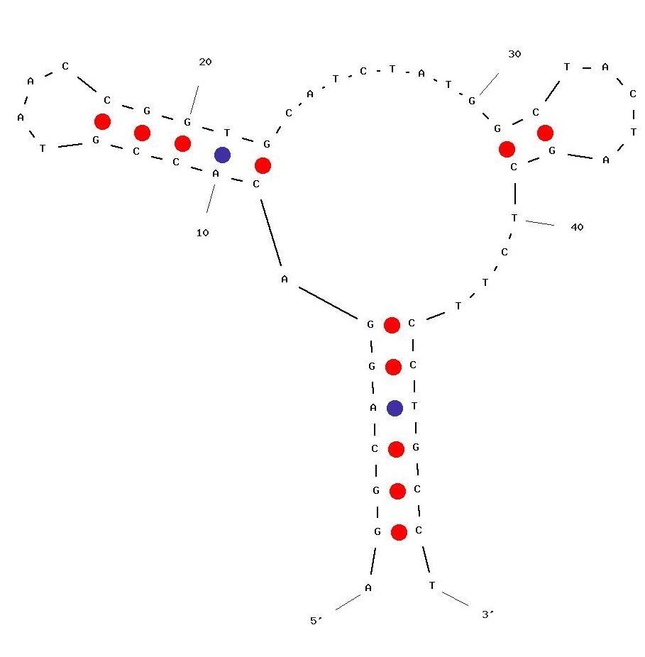 YFL-6 structure