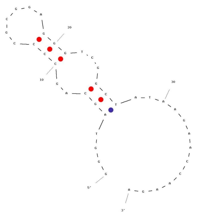 RhD antigen‑specificity 2 structure