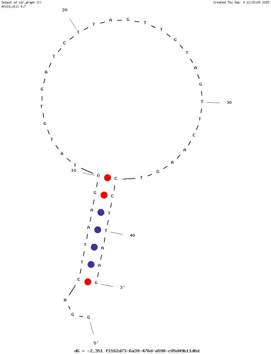 Es2-7bp (17β-estradiol) structure