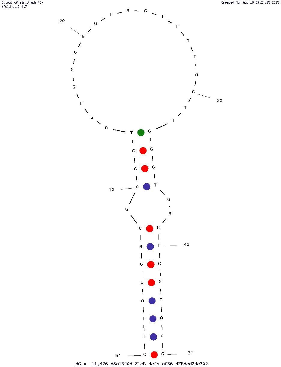 NC82 structure