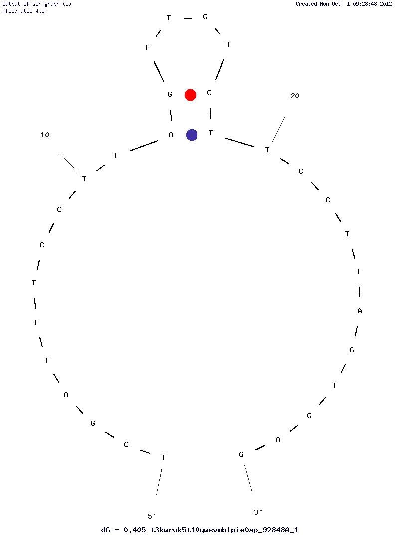 Anti-FLAg M2 Antibody Aptamer (ABA) structure