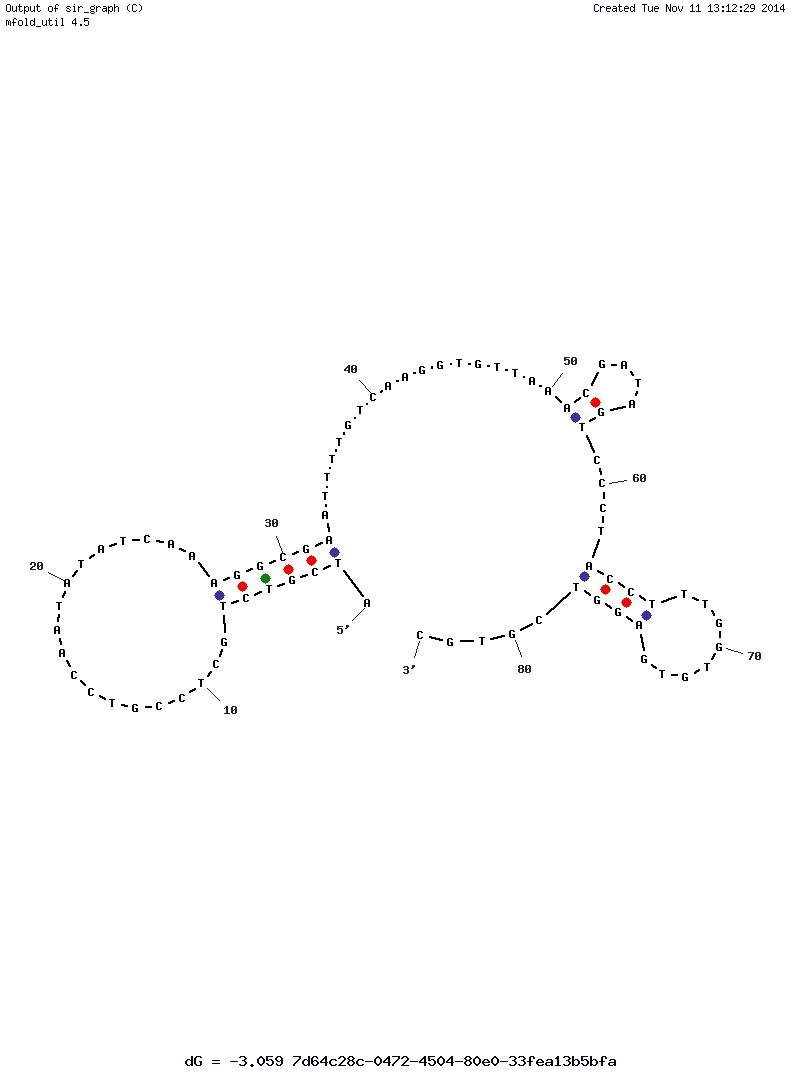Aptamer TY04 structure