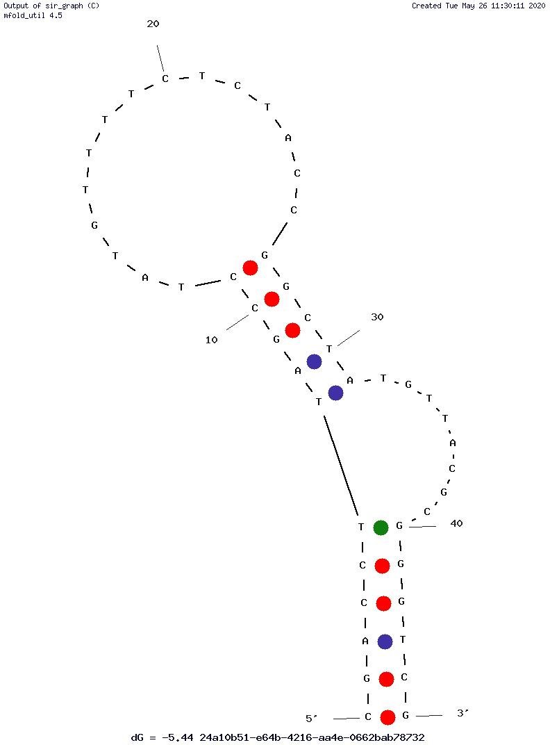 VA 6 structure